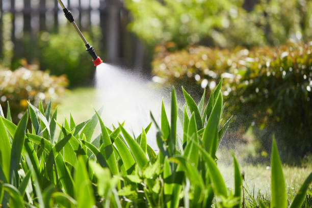 24/7 Emergency Wasp Removal experts in Elmore, OH