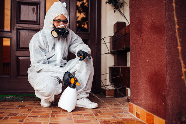 Reliable Wasp Removal contractor in Elmore, OH by Show Me Pest Control